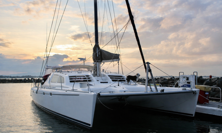 Leopard 45 in water
