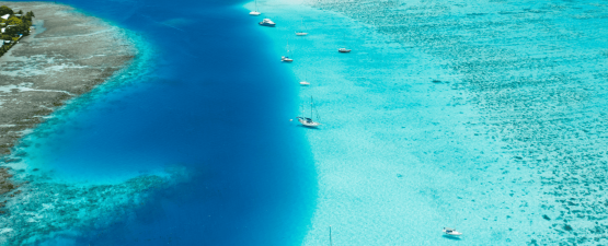 Tahiti Yacht Brokerage